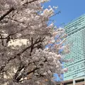 ハルカス300 展望台の写真_144389
