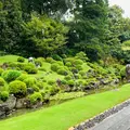 龍潭寺の写真_1445164
