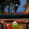 屋台のまち中央公園の写真_1446123