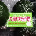 日向神ダム湖の写真_144703