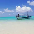 百合ヶ浜の写真_144708