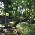 屋台のまち中央公園の写真_144910