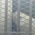 姫路市立動物園の写真_144945
