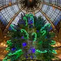 ギャラリー・ラファイエット・オスマン本店（Galeries Lafayette Haussmann）の写真_1468078