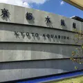 京都水族館の写真_147127