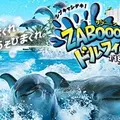 南知多ビーチランドの写真_147459