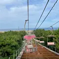 砂丘センター 見晴らしの丘の写真_1475821