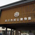 旭川市 旭山動物園の写真_147722