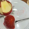 代官山Candy apple(キャンディーアップル)りんご飴専門店カフェの写真_1479954