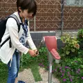 お富ちゃん広場の写真_148439