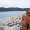 底原ダムの写真_148721