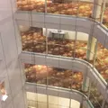 ブリーズベイホテル リゾート＆スパの写真_148735