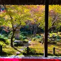 圓光寺の写真_1490089