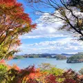福浦島の写真_1490642