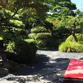 うどん本陣 山田家 讃岐本店の写真_150319