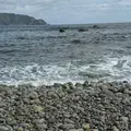 ホノホシ海岸の写真_1503235