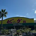 ビッグツー奄美店の写真_1503237