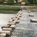 荒神橋近くの飛石の写真_150444