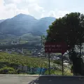 甲州市勝沼ぶどうの丘の写真_150664