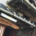 アホロートルの写真_150793