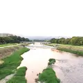 丸太町橋の写真_150887