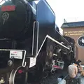 トロッコ嵐山の写真_151089