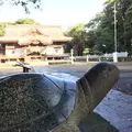 酒列磯前神社の写真_151141