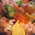 魚啓の写真_151181