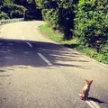男鹿半島の写真_151339