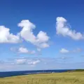 入道崎の写真_151340