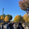 上野恩賜公園（上野公園）の写真_1520713