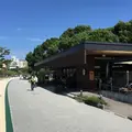スターバックスコーヒー 福岡大濠公園店（STARBUCKS COFFEE）の写真_152418