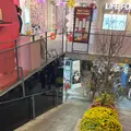 The New Playgroundの写真_1527720