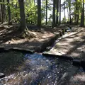 名水「三分一湧水」の写真_152875