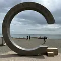 茅ヶ崎サザンCの写真_1529854