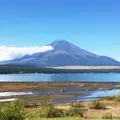 山中湖一周遊覧『白鳥の湖』の写真_153345