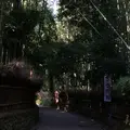 嵯峨野竹林の写真_153551