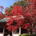 東山寺の写真_154189