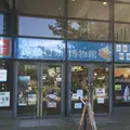 真鶴町立　遠藤貝類博物館の写真_154235