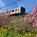 河津駅の写真_1542727