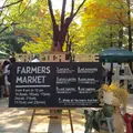 東遊園地の写真_154458