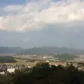 丹波並木道中央公園の写真_154467