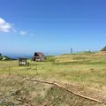 史跡五斗長垣内遺跡の写真_154583