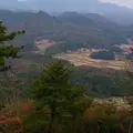 円山の写真_154612