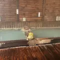 小鹿の湯の写真_1547538