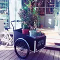 SLOW HOUSE（スローハウス）の写真_155235