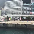 初島の写真_155315