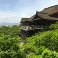 清水寺の写真_156005