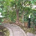 芝公園の写真_156279