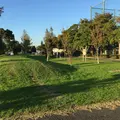 篠崎公園の写真_156678
